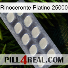 Platinum Rhino 25000 08